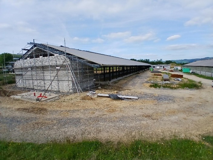 Image2