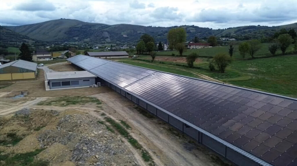 IMG_7448