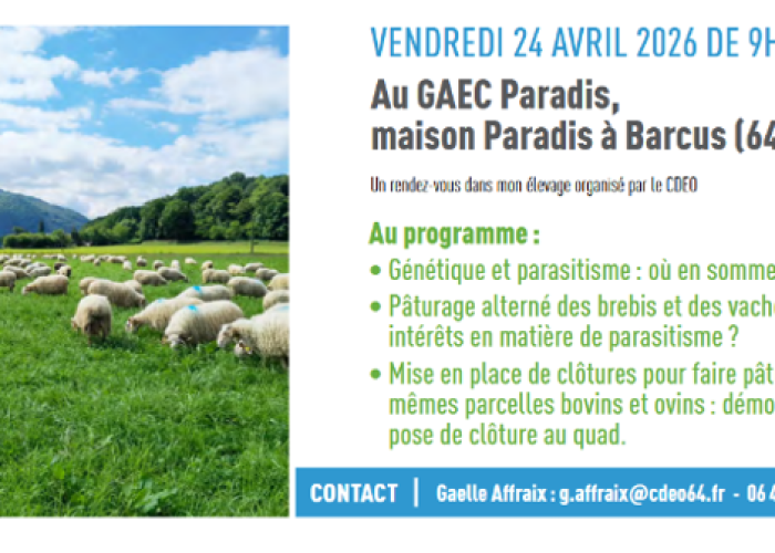 Image1