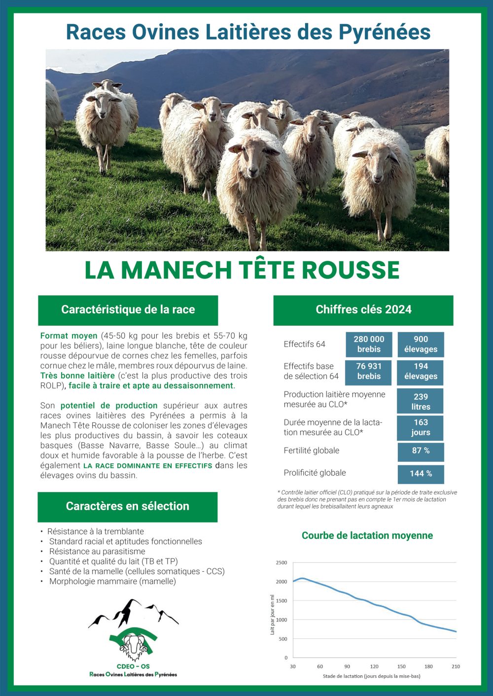 La Manech Tête Rousse