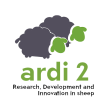 ardi 2 sans fond